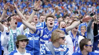 Fan Onderzoek 2015/1'6
